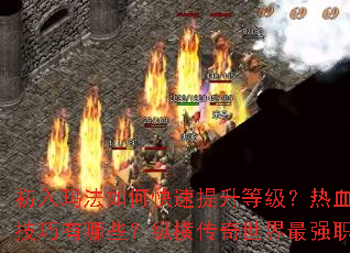 �����귨��ο��������ȼ�����Ѫ�������ֱر���������Щ���ݺᴫ��������ǿְҵ��ôѡ��