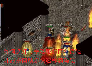 ���ѡ����˽����������ǿ����ָ��������ٳư��귨