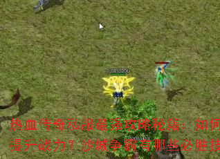 ��Ѫ����˽����ǿ�����ؼ�����ο�������ս����ɳ����������Щ��ʤ���ɣ�