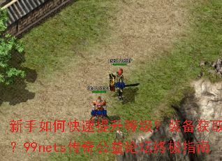 新手如何快速提升等级?装备获取全攻略?99nets传奇公益论坛终极指南 新手如何快速提升等级?装备获取全攻略?99nets传奇公益论坛终极指南