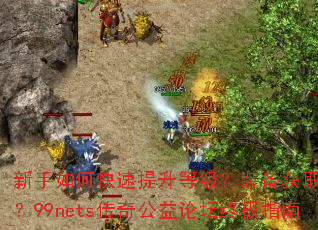 新手如何快速提升等级?装备获取全攻略?99nets传奇公益论坛终极指南 新手如何快速提升等级?装备获取全攻略?99nets传奇公益论坛终极指南