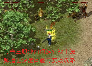 ������ְҵ���ѡ��սʿ��ʦ��ʿ���������ʵս����