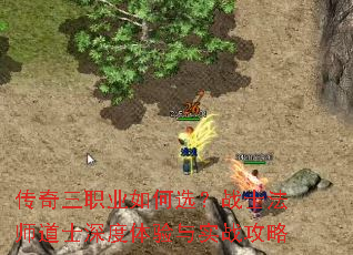 ������ְҵ���ѡ��սʿ��ʦ��ʿ���������ʵս����