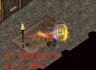 新手如何快速上手热血传奇口袋版2? 新手如何快速上手热血传奇口袋版2?