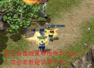 �����ϻ�����������ô�棿��ɳ��ʤ�ؾ���ʲô��