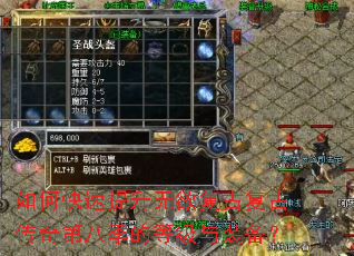 ��ο��������������Ÿ��Ŵ���ڰ˼��ĵȼ���װ����