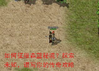 �������ɭ���ؾ���̽��δ֪����д��Ĵ��湥��