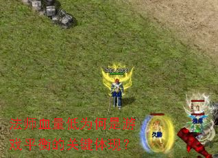 法师血量低为何是游戏平衡的关键体现? 法师血量低为何是游戏平衡的关键体现?
