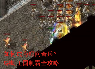 如何成为蝶网奇兵?蝴蝶王国制霸全攻略 如何成为蝶网奇兵?蝴蝶王国制霸全攻略