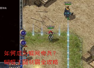 如何成为蝶网奇兵?蝴蝶王国制霸全攻略 如何成为蝶网奇兵?蝴蝶王国制霸全攻略