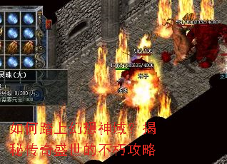 ���̤�ϻ������򣿽��ش���ʢ���Ĳ��๥��