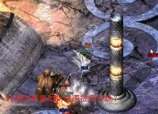 ������Ϸ����ο��������ȼ���