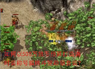 如何以500万狼币预算打造满时装称号盾牌斗笠勋章套装? 如何以500万狼币预算打造满时装称号盾牌斗笠勋章套装?