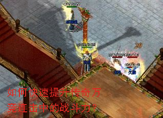 ��ο������������������е�ս������