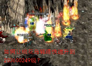 如何让桃花岛郭靖快速升到203600249级? 如何让桃花岛郭靖快速升到203600249级?
