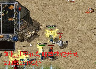 ������һ���������������203600249����