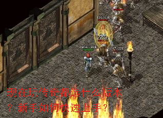 �����洫�涼ѡʲô�汾��������ο������֣�