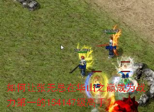 如何让张无忌在华山之巅成为战力第一的154147级高手? 如何让张无忌在华山之巅成为战力第一的154147级高手?