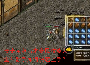 传奇龙渊版本专属攻略大全?新手如何快速上手? 传奇龙渊版本专属攻略大全?新手如何快速上手?