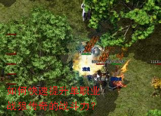 如何快速提升单职业战狼传奇的战斗力? 如何快速提升单职业战狼传奇的战斗力?