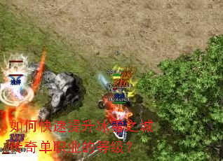 ��ο���������ѩ֮�Ǵ��浥ְҵ�ĵȼ���