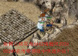 ������һ���6662÷����202600249�ڴ�����Ϸ�п���������