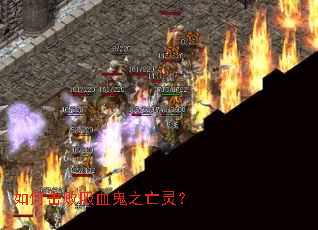 ��λ�����Ѫ��֮���飿