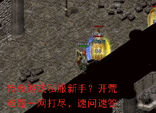 传奇游戏私服新手?开荒难题一网打尽,速问速答 传奇游戏私服新手?开荒难题一网打尽,速问速答