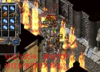 �����������Ŀ����Ϸ��ֵ������̽����