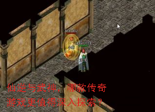 �����������Ŀ����Ϸ��ֵ������̽����