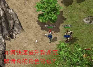 如何快速提升新开沉默传奇的角色等级? 如何快速提升新开沉默传奇的角色等级?