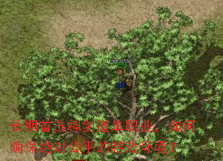 ������ѡ�񽣵���ְҵ�����ȷ�����Թ�ƽ����Ϸ������