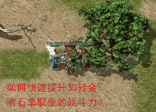 ��ο�������30ת���ʯ��ְҵ��ս������