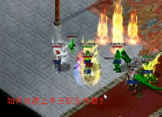 ��ο���������ְҵ���棿