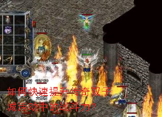 ��ο�����������˫�ӳǻ�е�ս������