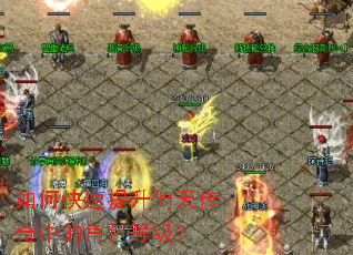 ��ο����������촫���еĽ�ɫ�ȼ���