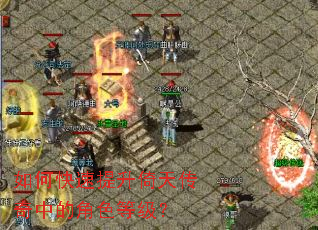 ��ο����������촫���еĽ�ɫ�ȼ���