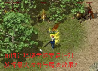 �����������������[+9]������󹥻���ħ��Ч����