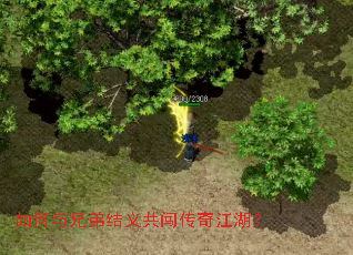 如何与兄弟结义共闯传奇江湖? 如何与兄弟结义共闯传奇江湖?