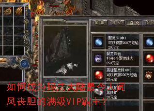 如何成为玛法大陆最令人闻风丧胆的满级VIP霸主? 如何成为玛法大陆最令人闻风丧胆的满级VIP霸主?