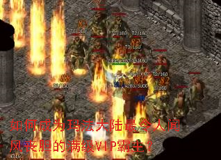 如何成为玛法大陆最令人闻风丧胆的满级VIP霸主? 如何成为玛法大陆最令人闻风丧胆的满级VIP霸主?