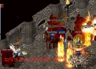 ��ο��ٴ�45������50����