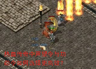 ��Ѫ�������������빦ѫ�����ѡ�����Ч��