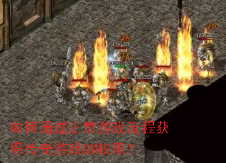 ���ͨ��������Ϸ���̻�ô�����ϷGMȨ�ޣ�