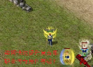 ��ο����������ŵ�ְҵ�����ɫ�ȼ���