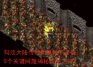 �귨��½�����·����ֱر���10���ؼ����������;֮·��