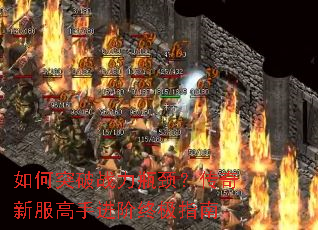 ���ͻ��ս��ƿ���������·����ֽ����ռ�ָ��