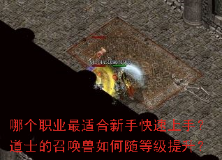 �ĸ�ְҵ���ʺ����ֿ������֣���ʿ���ٻ��������ȼ�������