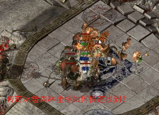 �����ѩɭ��������ο����ҵ���