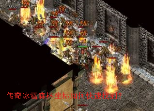 �����ѩɭ��������ο����ҵ���